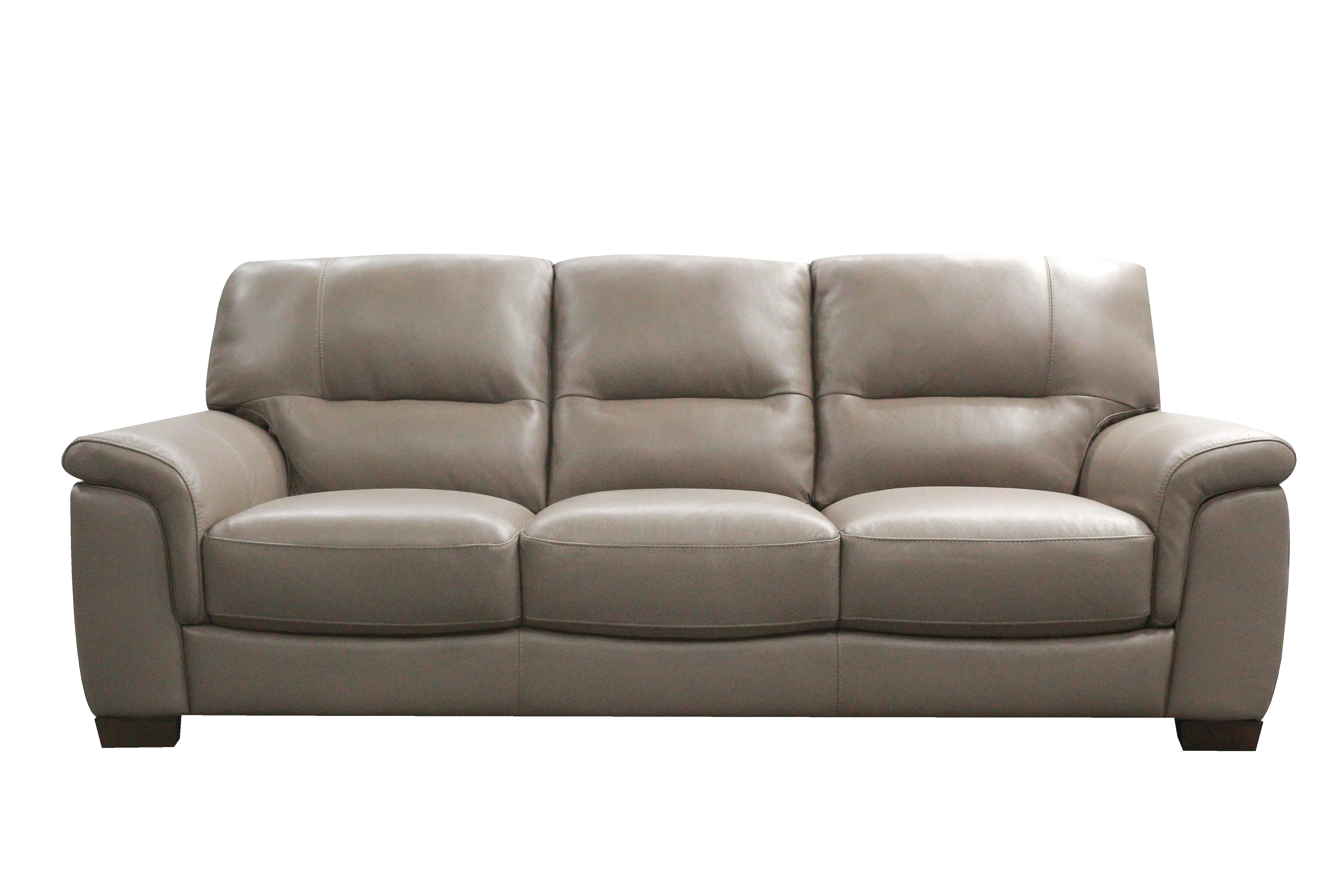 Wadsworth Granite Beige Leather Sofa-2
