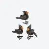 3 Halloween Crows