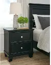 Lanolee Black 2-Drawer Nightstand