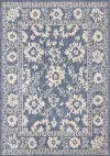 Canopy 6 x 9 Blue and White Elegant Border Outdoor Rug