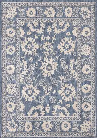 Canopy 6 x 9 Blue and White Elegant Border Outdoor Rug