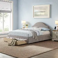31QA009GRY-SET Darcy Gray Upholstered Queen Storage Bed