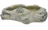 Look Driftwood Planter