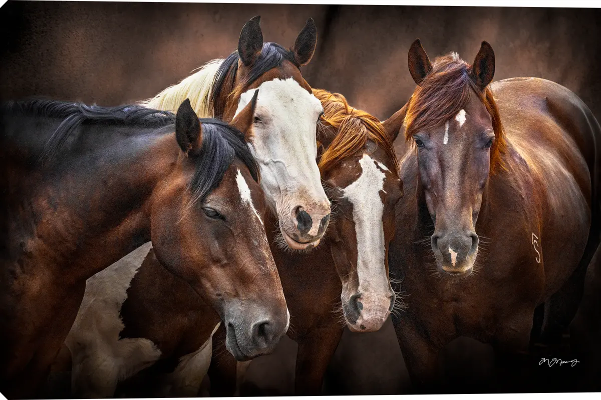 MT3120OS Board Meeting Canvas Wrap-1