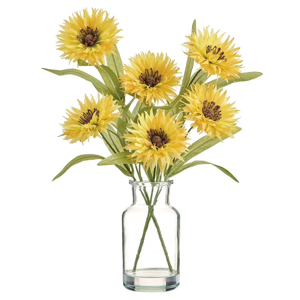 13  Cosmos in Glass Vase-1