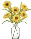13  Cosmos in Glass Vase