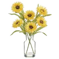 13  Cosmos in Glass Vase