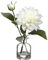 10.5 White Dahlias in Glass Vase