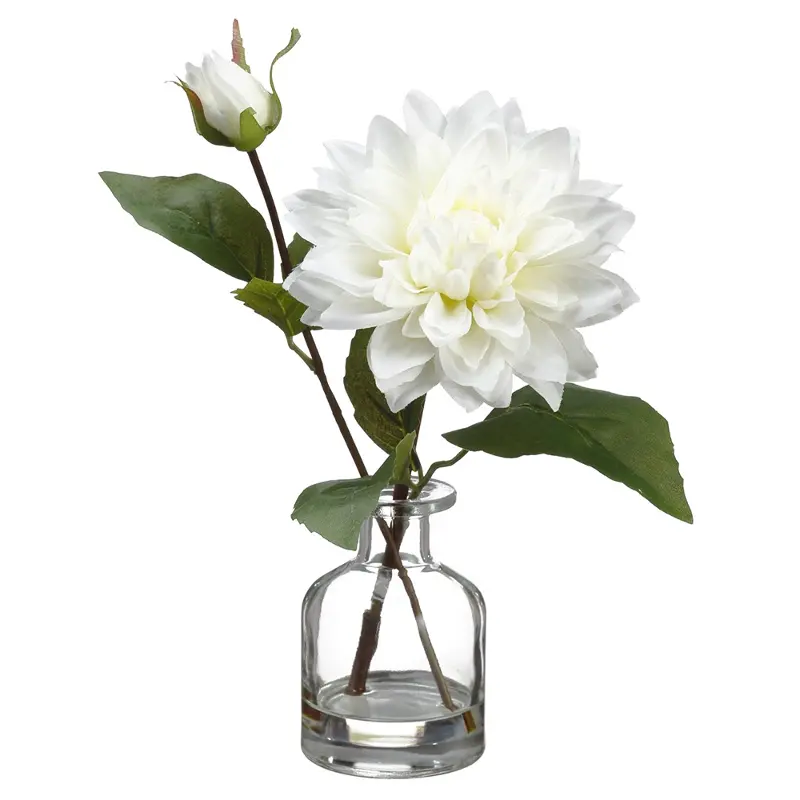 10.5 White Dahlias in Glass Vase