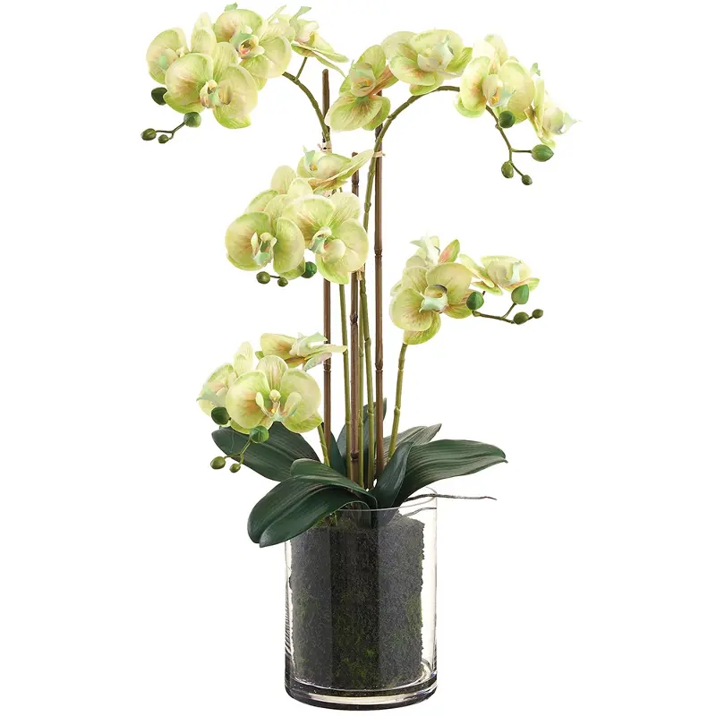 27