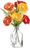 10  Poppy in Glass Bottle