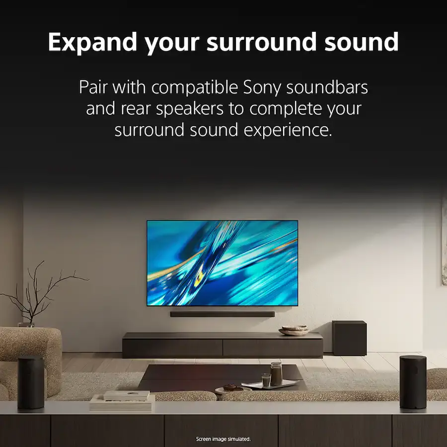 SASW9 Sony Bravia Black Sub 9 Wireless Theater Subwoofer-6