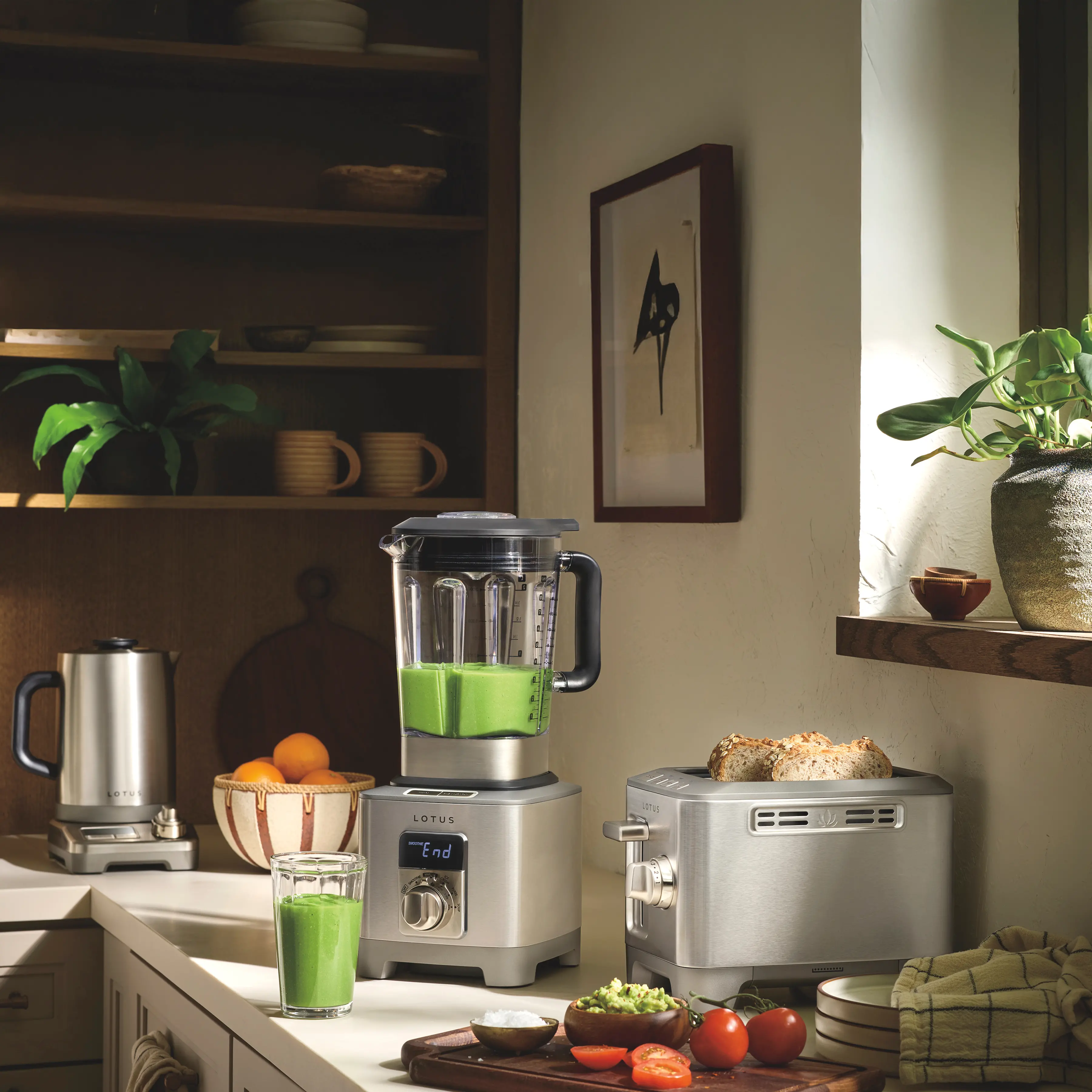 LTSBL500 Lotus Professional Series Blender - Stainless Steel-4