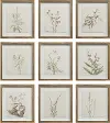 Crema Wall Art Set