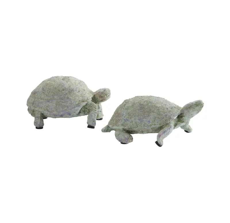 Slow n' Steady Small Turtle