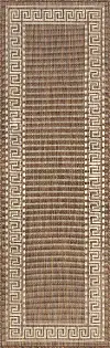 ECO1003 3X10 Giovanna Brown 3 x 10 Indoor-Outdoor Runner Area Rug