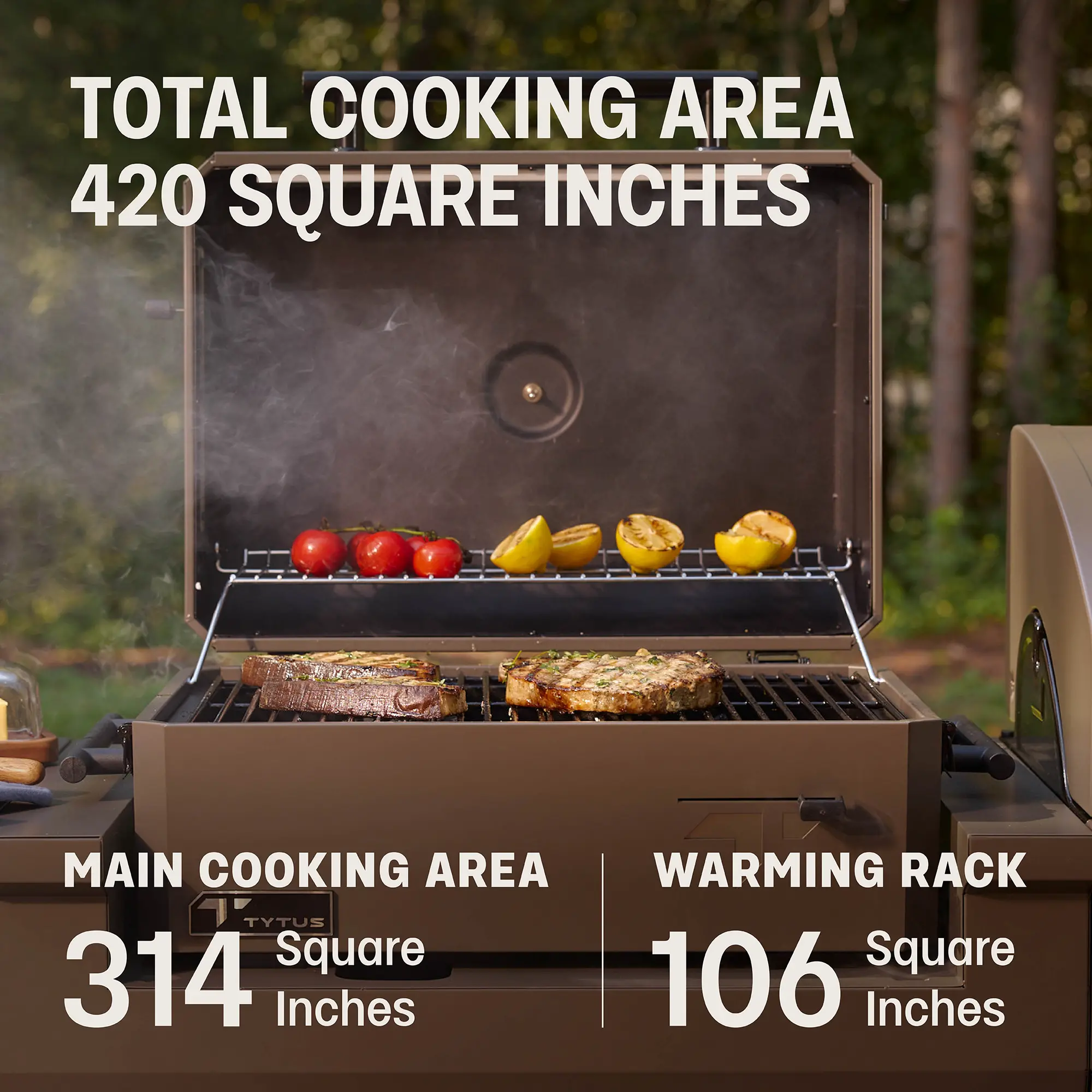 TDT-GHS-CHAR Tytus Emberwood Charcoal Grill-11