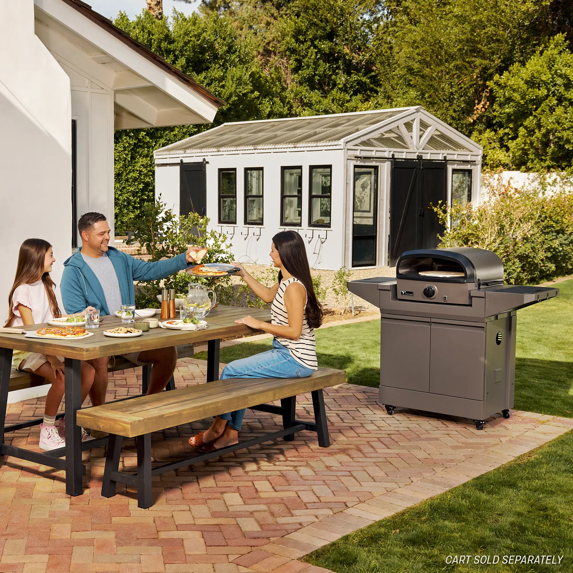 TDT-GHS-GPZA Tytus Emberwood Pizza Oven-11