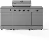 TDT-021-0101 Tytus Fresno 5-Burner Liquid Propane Grill - Gunmetal Gray