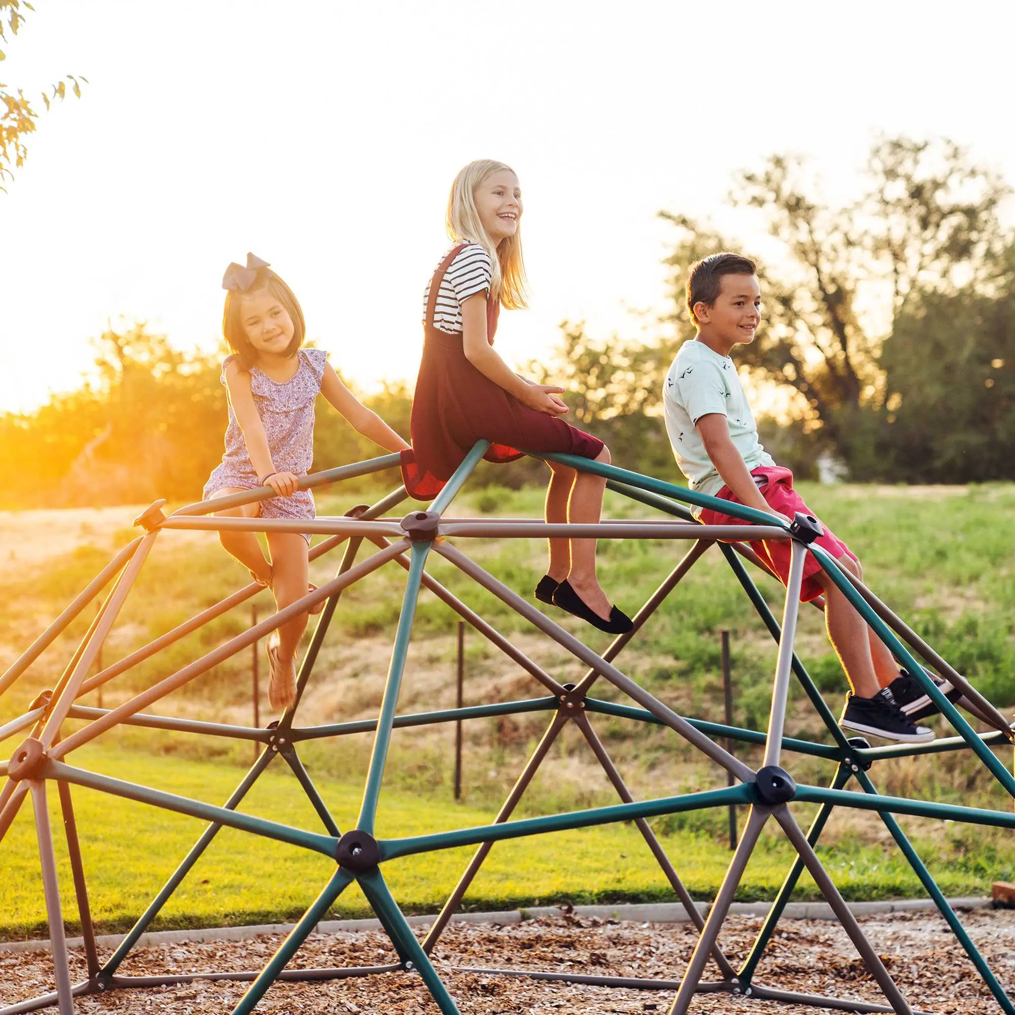 90136 Lifetime Green Climbing Dome-2
