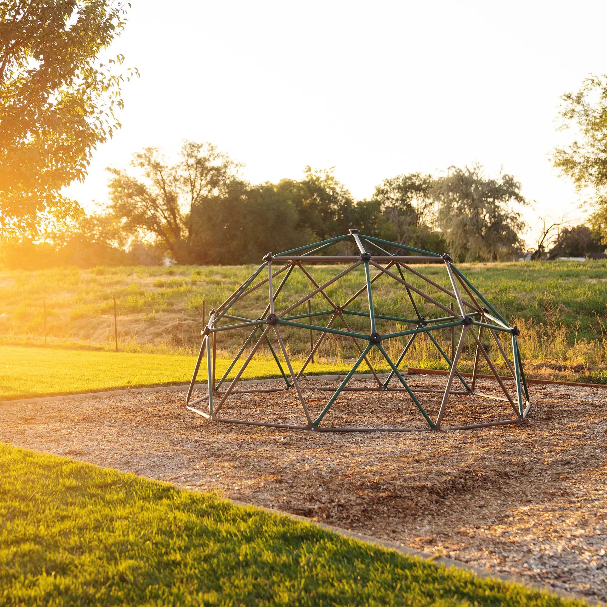 90136 Lifetime Green Climbing Dome-3