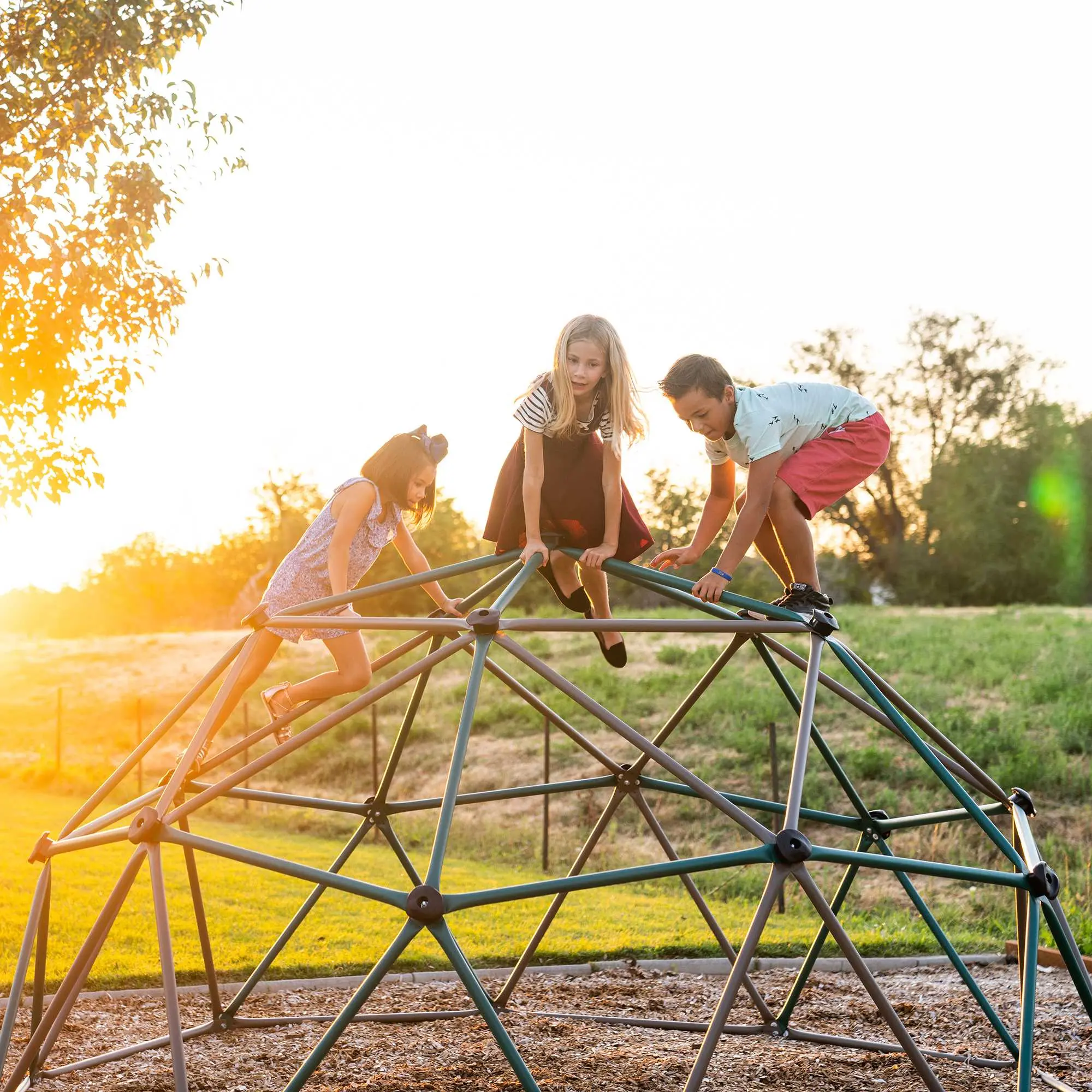 90136 Lifetime Green Climbing Dome-5