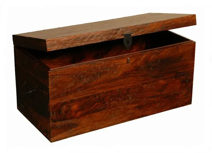 Jaipur Home Wood Trunk-1