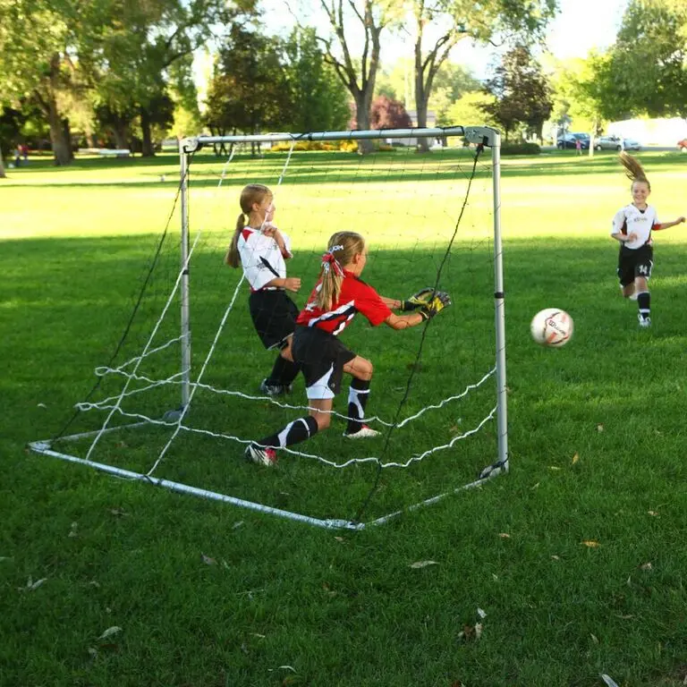 90046 Lifetime Portable Soccer Goal-2