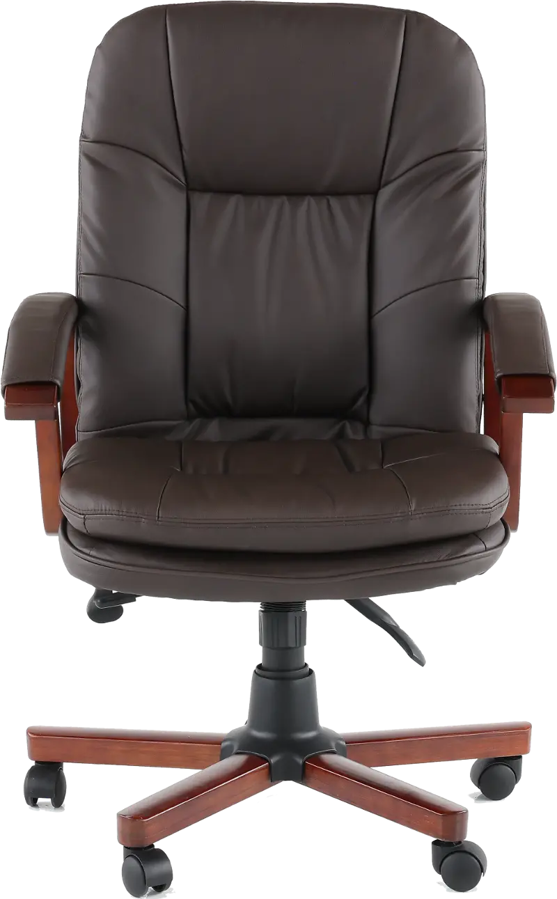 Brown Executive Office Chair
