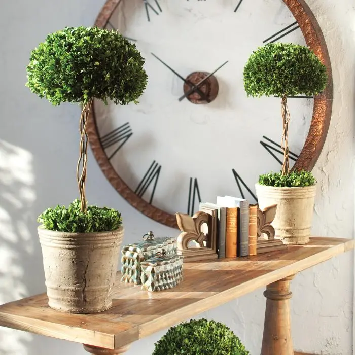 Preserved Boxwood Tree Topiary Arrangement-2