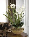 Moth White Orchid Faux Planter Arrangement