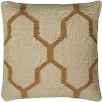 Beige and Natural 18 Inch Throw Pillow