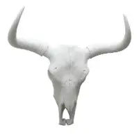 Resin Bison Skull Wall Decor