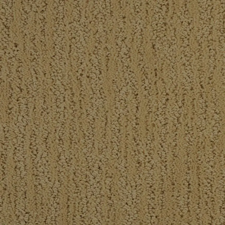 BRE.DELOACH Dixie Deloach Carpet-1