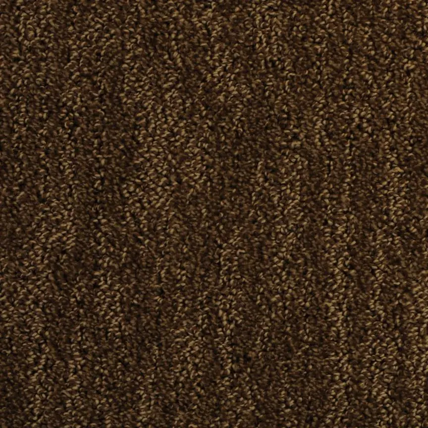BRE.DELOACH Dixie Deloach Carpet-10