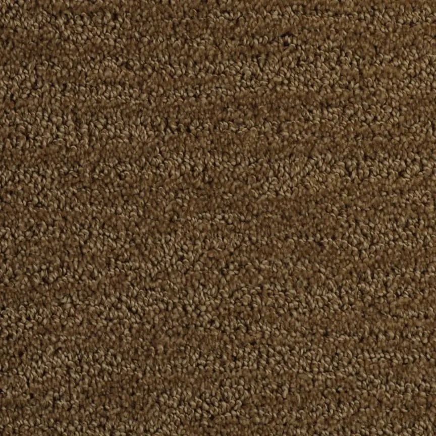BRE.DELOACH Dixie Deloach Carpet-11