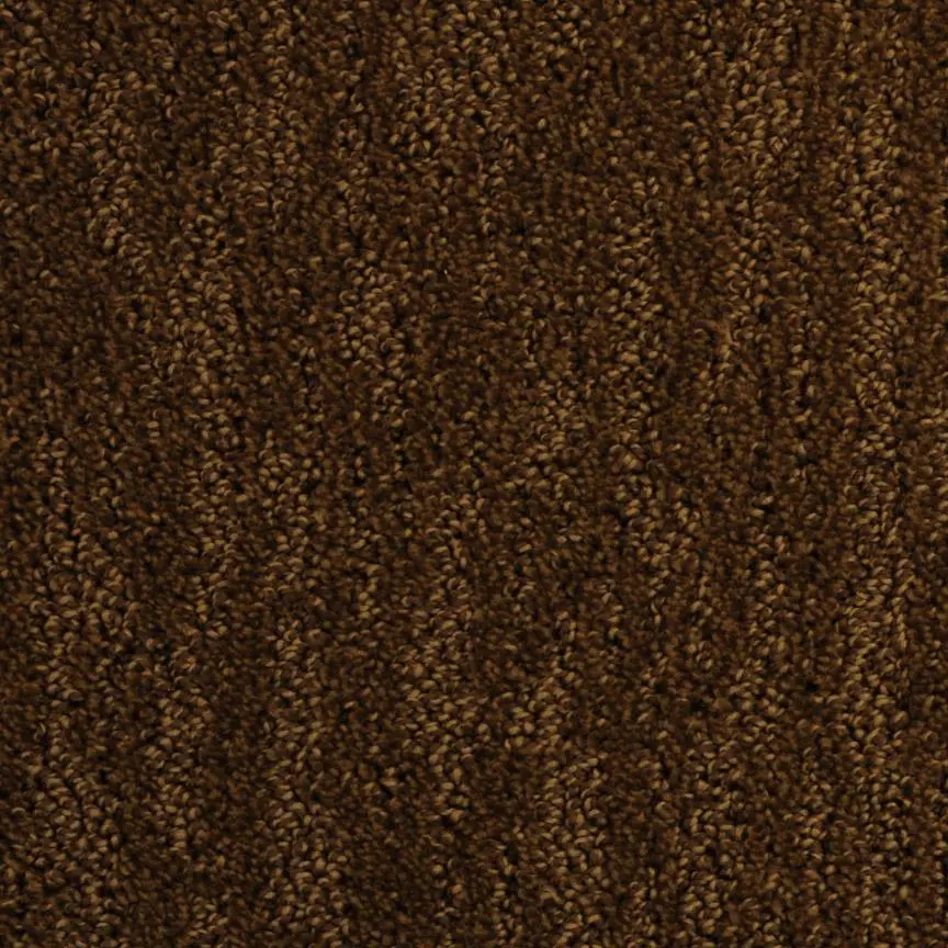 BRE.DELOACH Dixie Deloach Carpet-12