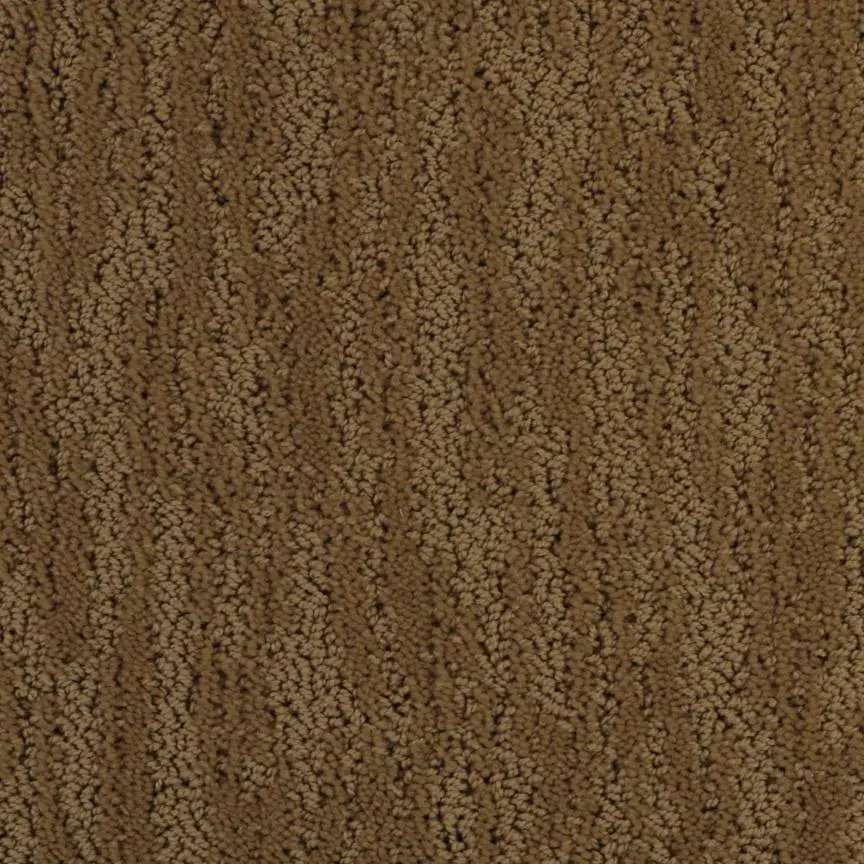 BRE.DELOACH Dixie Deloach Carpet-3