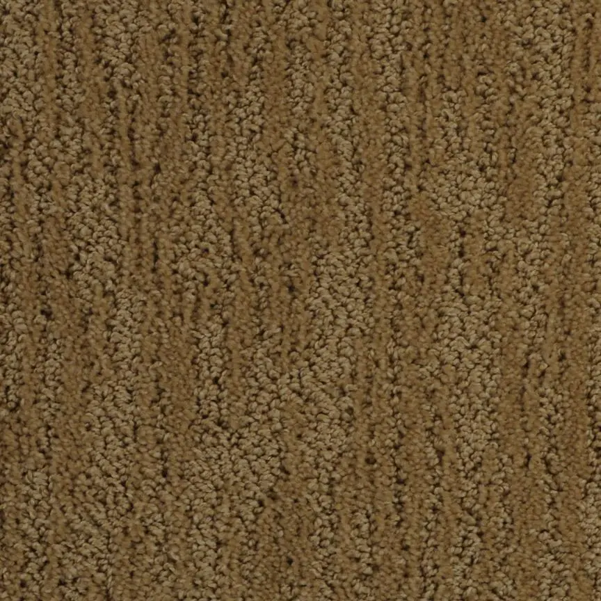 BRE.DELOACH Dixie Deloach Carpet-6