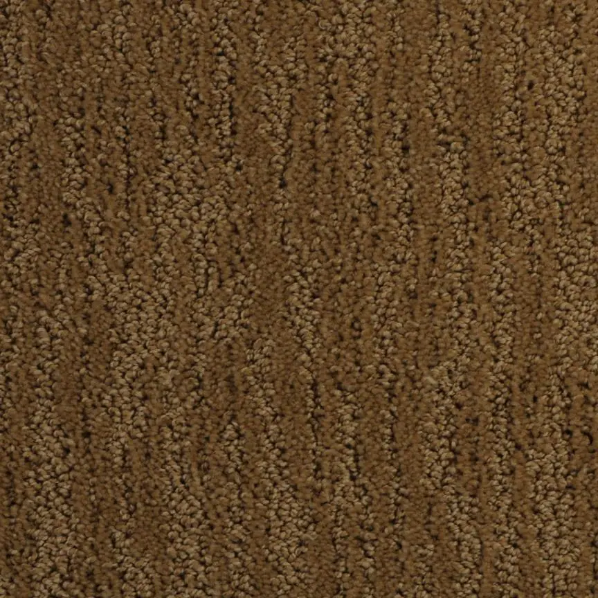 BRE.DELOACH Dixie Deloach Carpet-8
