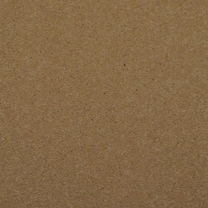 BRE.TOULON Dixie Toulon Carpet-1