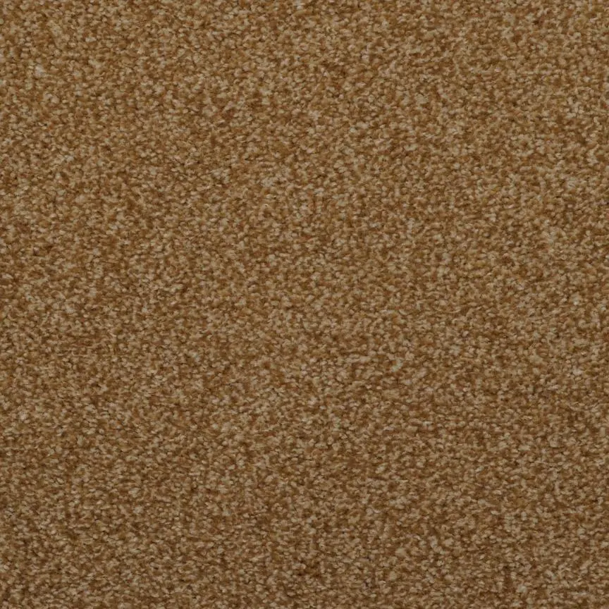 BRE.TOULON Dixie Toulon Carpet-10