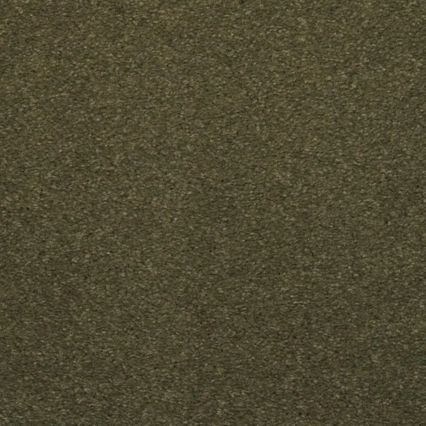 BRE.TOULON Dixie Toulon Carpet-11