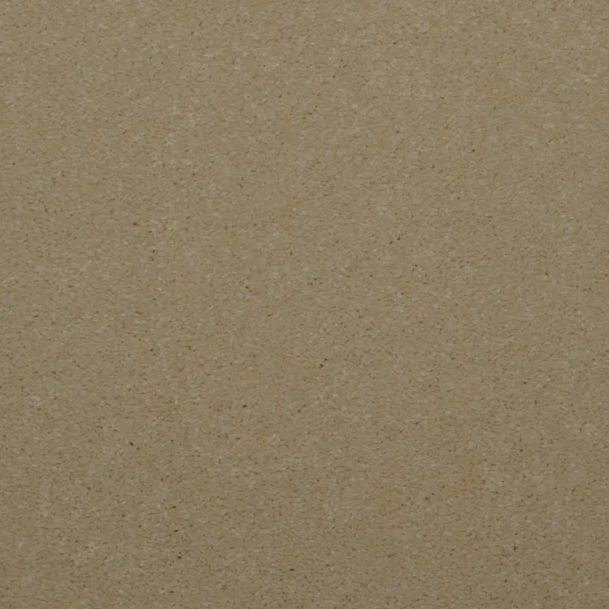 BRE.TOULON Dixie Toulon Carpet-13