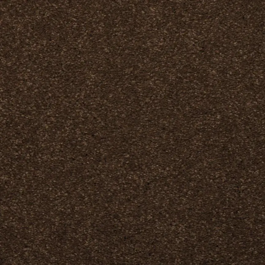 BRE.TOULON Dixie Toulon Carpet-16