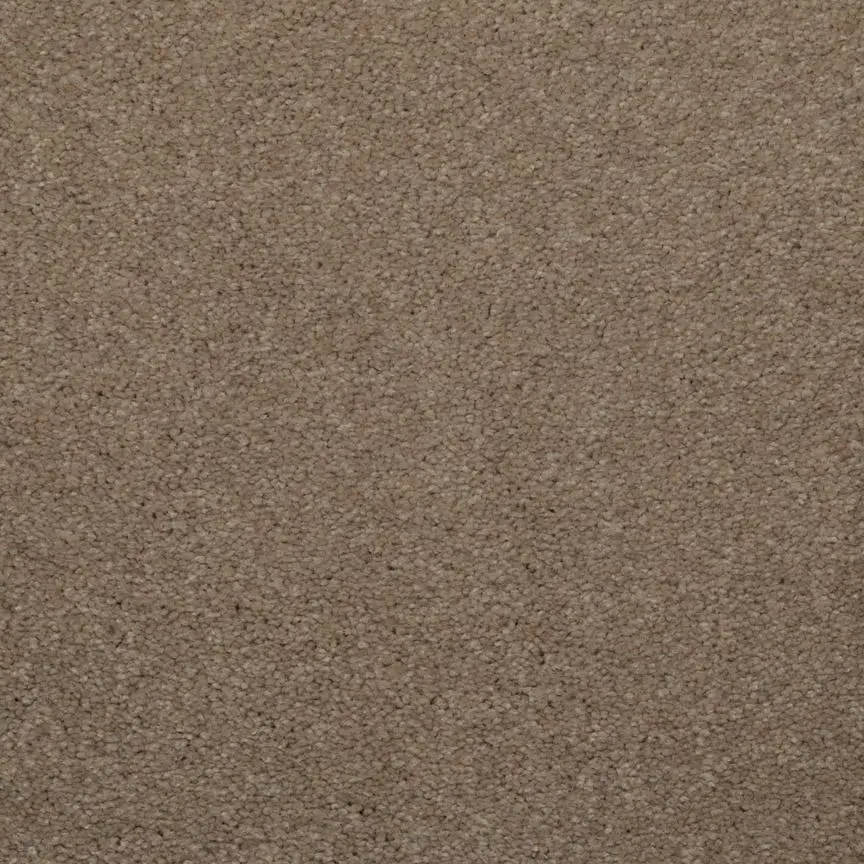 BRE.TOULON Dixie Toulon Carpet-17