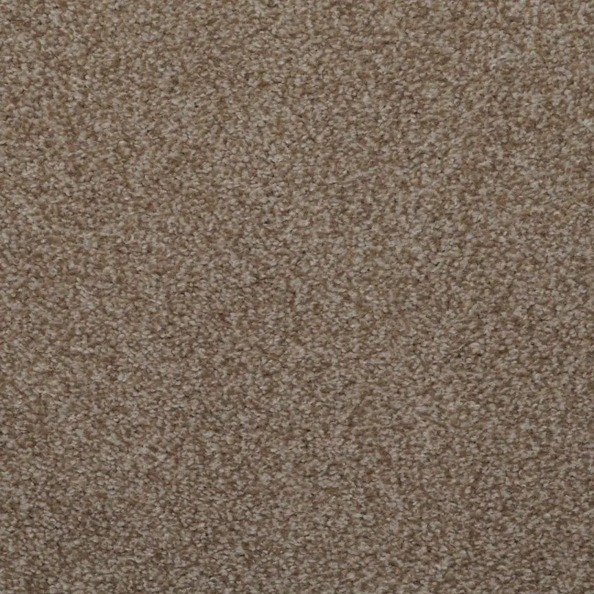 BRE.TOULON Dixie Toulon Carpet-18