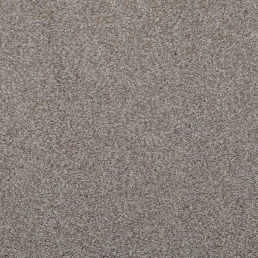 BRE.TOULON Dixie Toulon Carpet-19