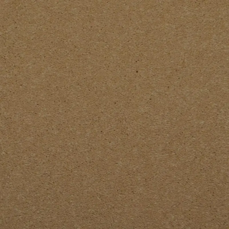 Dixie Toulon Carpet