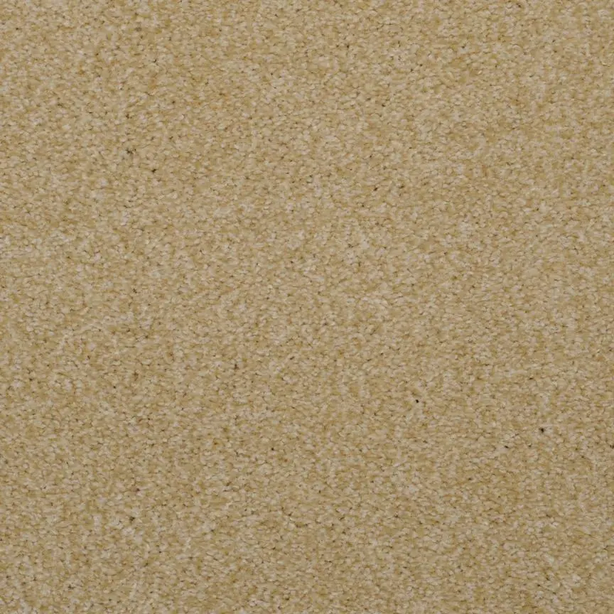 BRE.TOULON Dixie Toulon Carpet-2